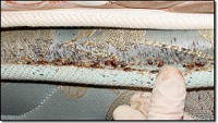 /album/fotogalerie/bed-jpg/